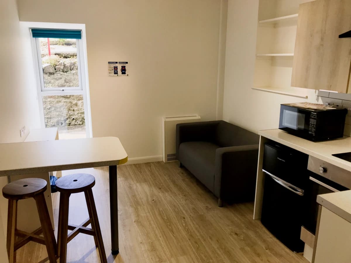 1 Bed Apartment (Large)