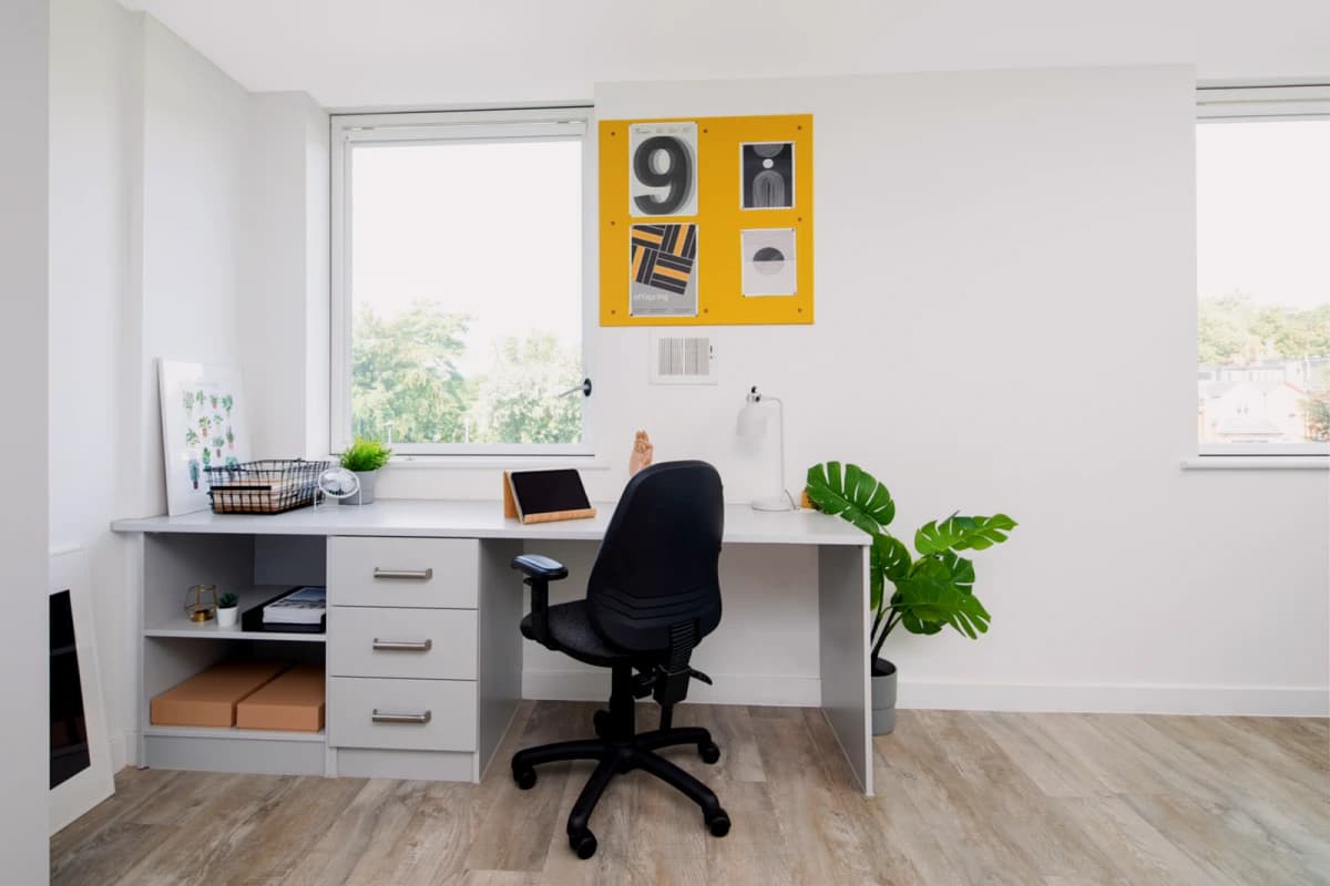 Gold Studio