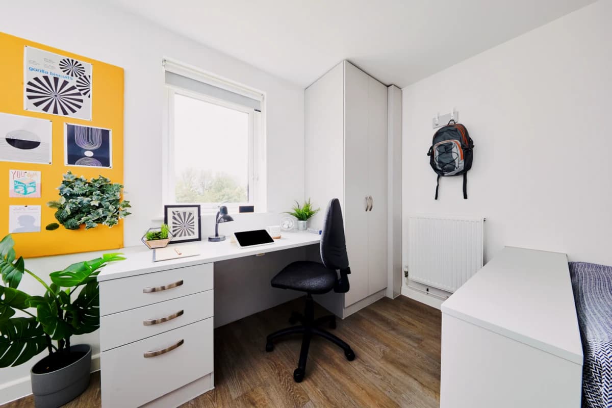 Premium Studio