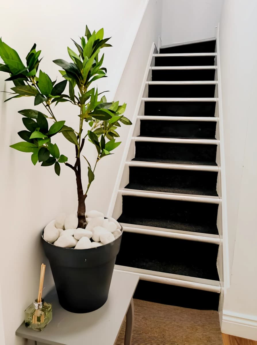 1 Bed
