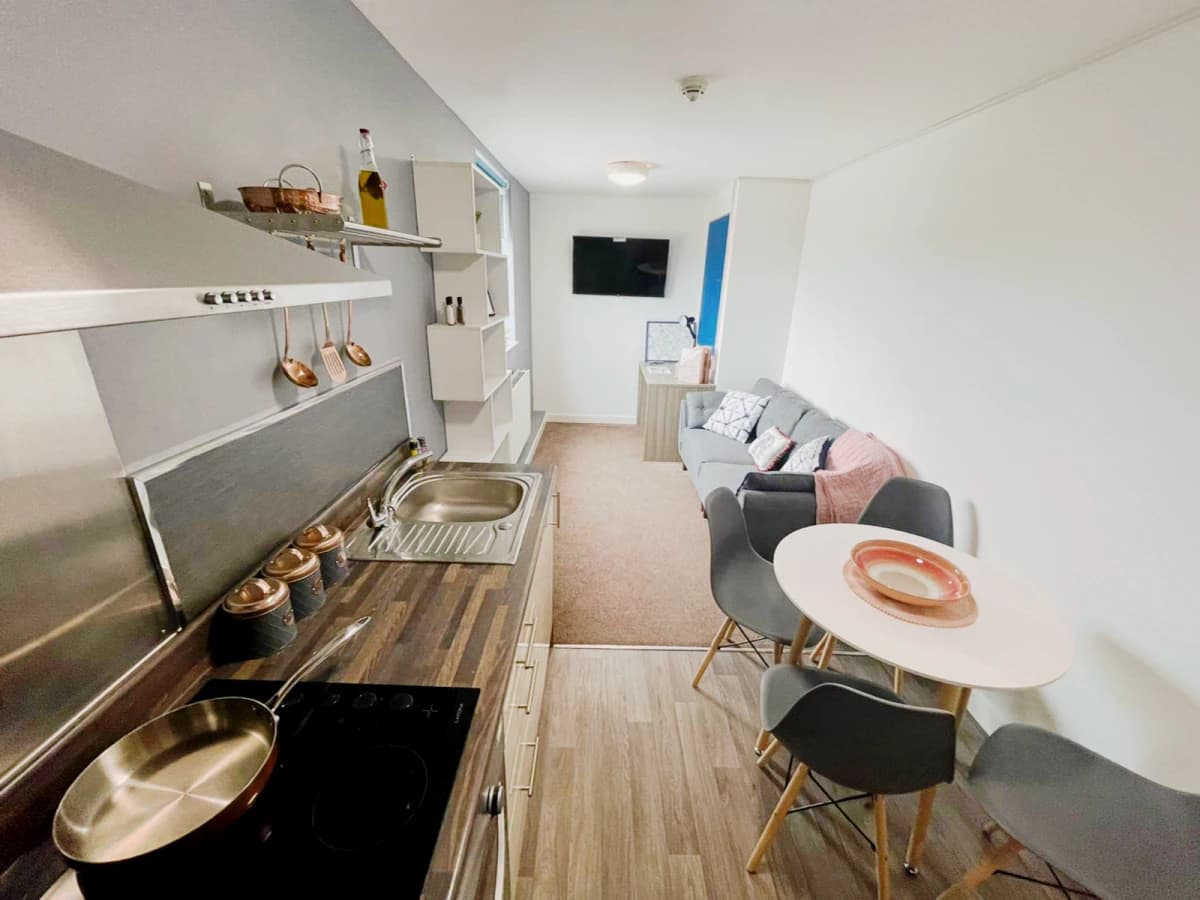 Plus One-Bedroom Apartment