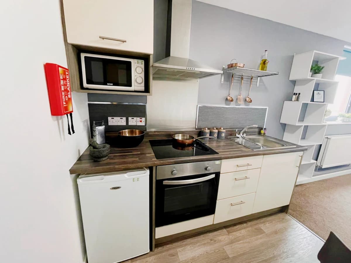 Plus One-Bedroom Apartment