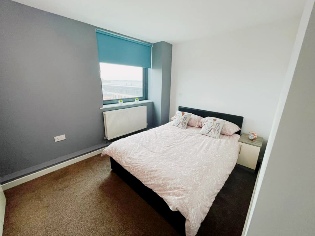 Plus One-Bedroom Apartment