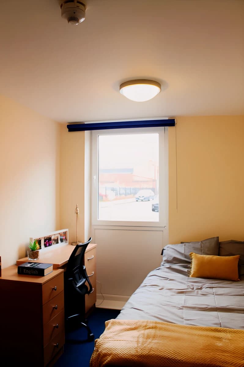 Six Bed Apartment