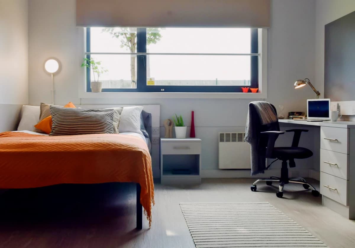 Bronze Studio Plus