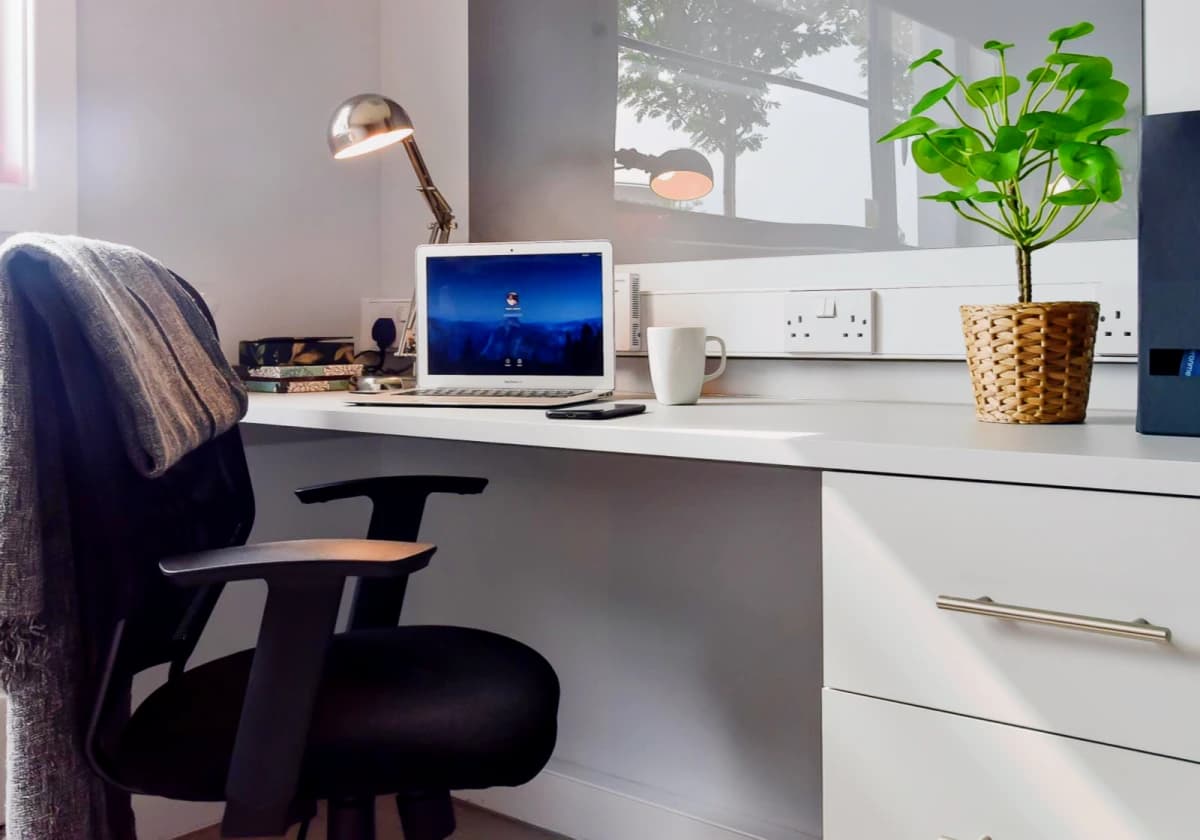 Bronze Studio Plus