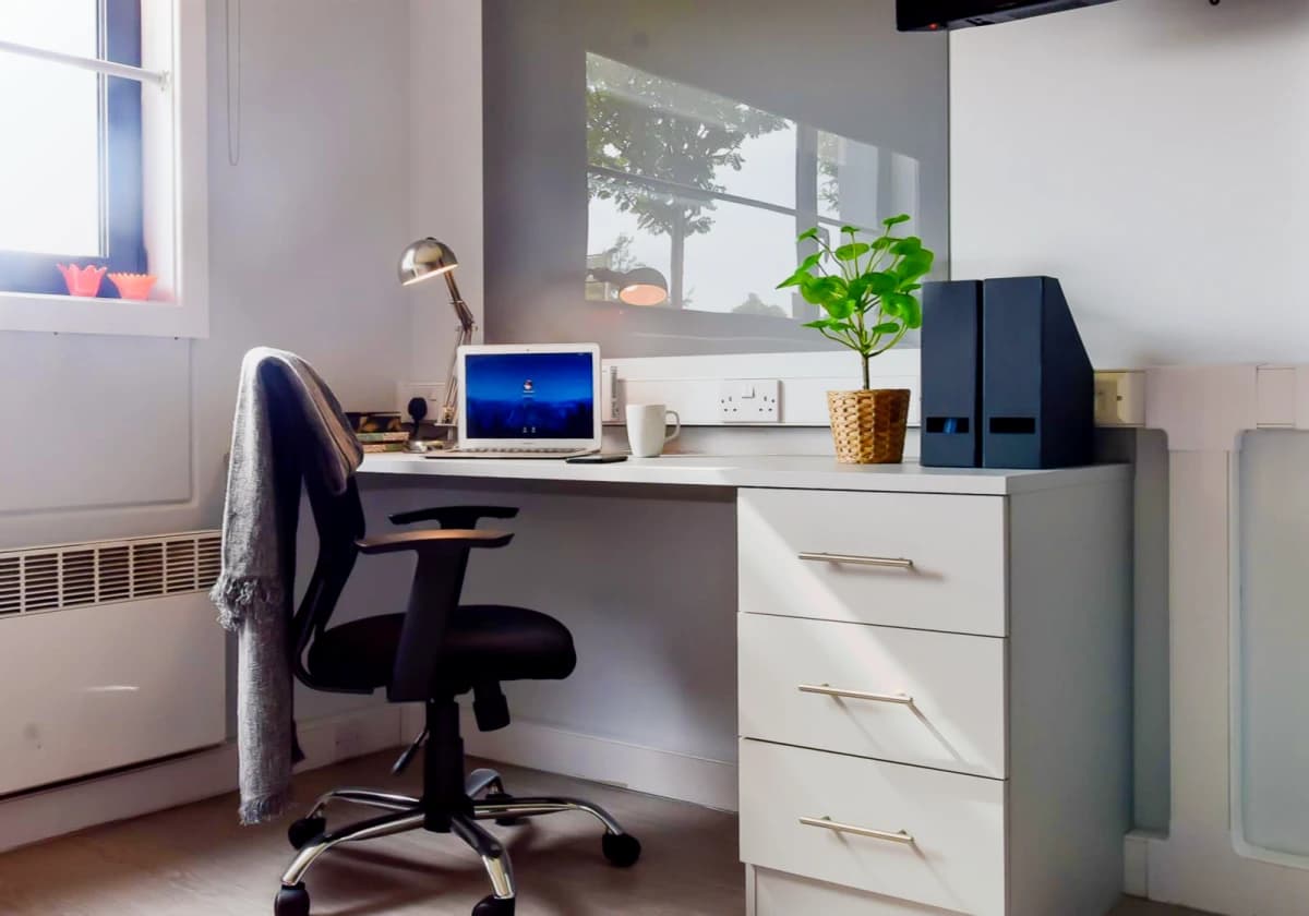 Bronze Studio Plus