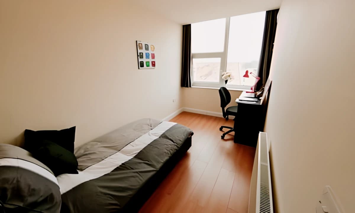 Apex Heights image