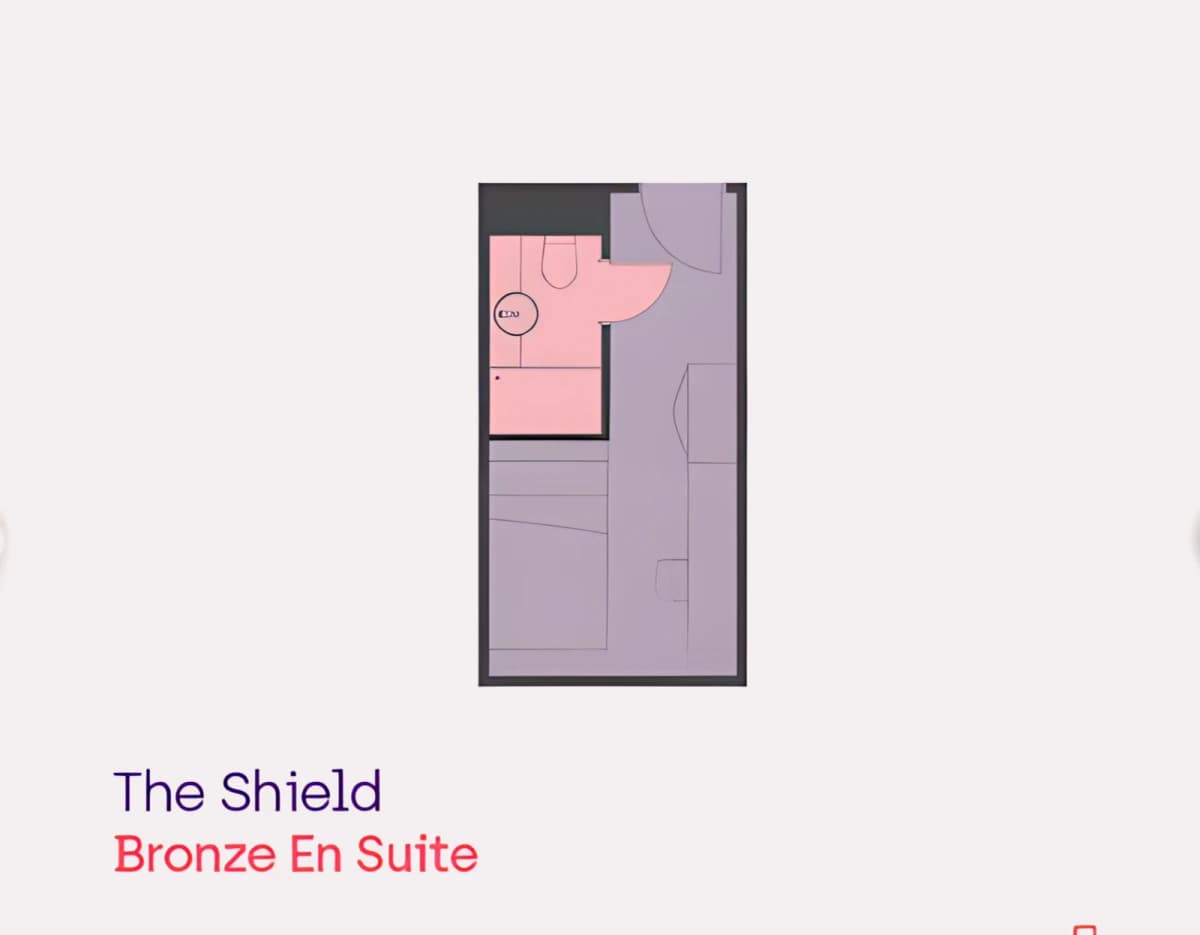 The Shield image