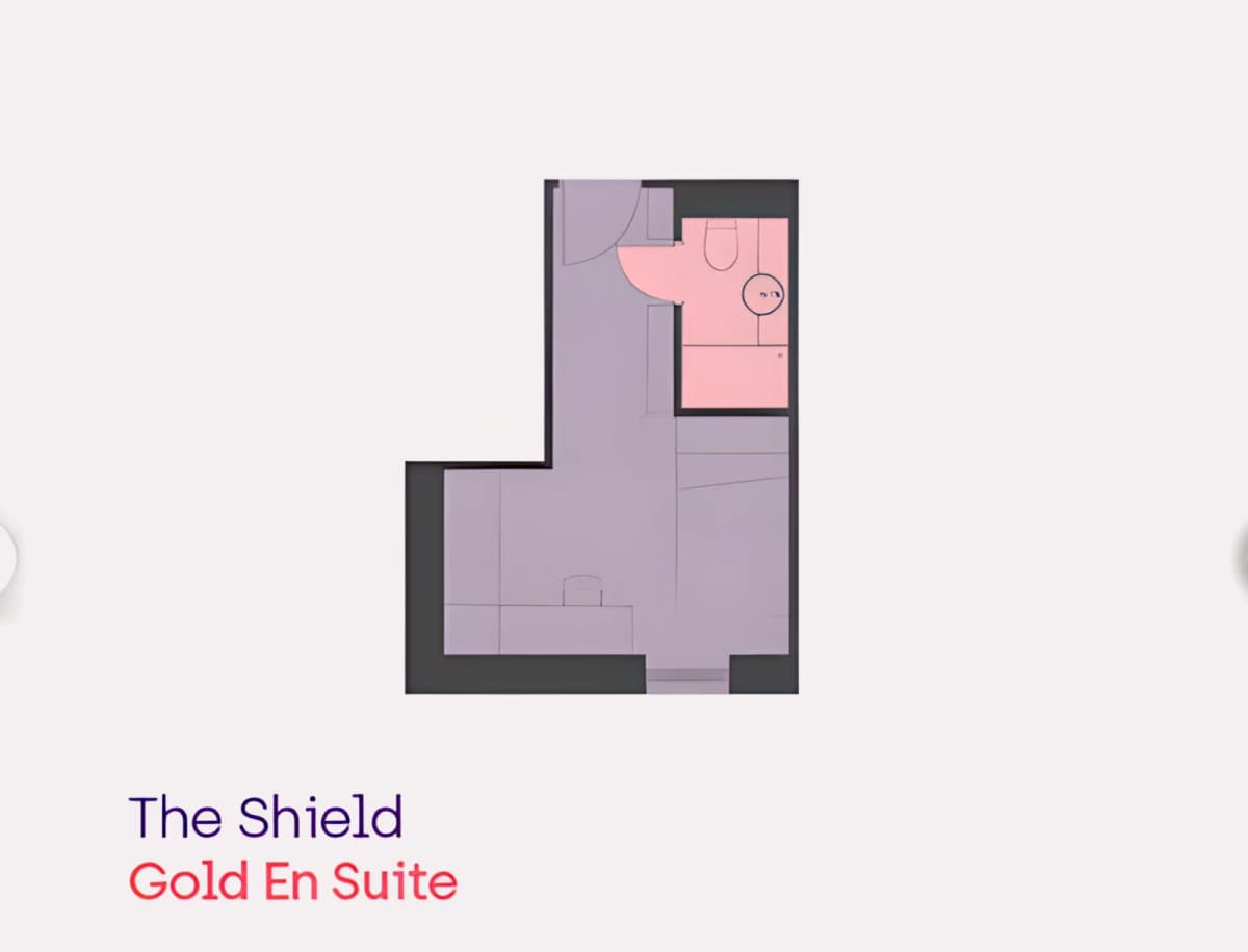 The Shield image