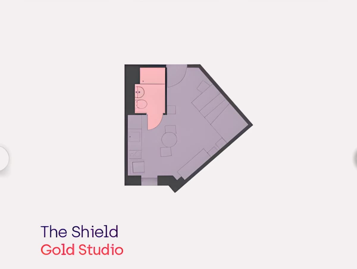 The Shield image