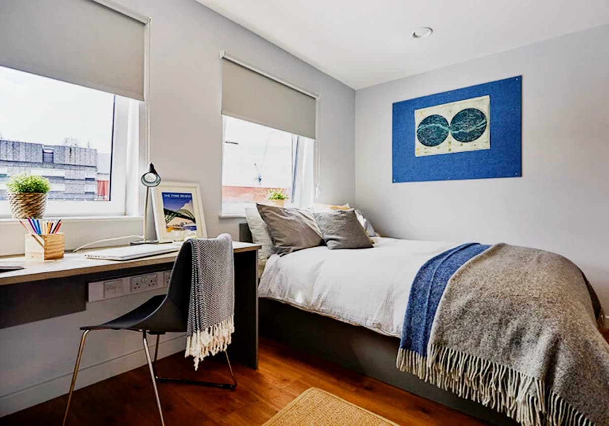 iQ Collingwood image