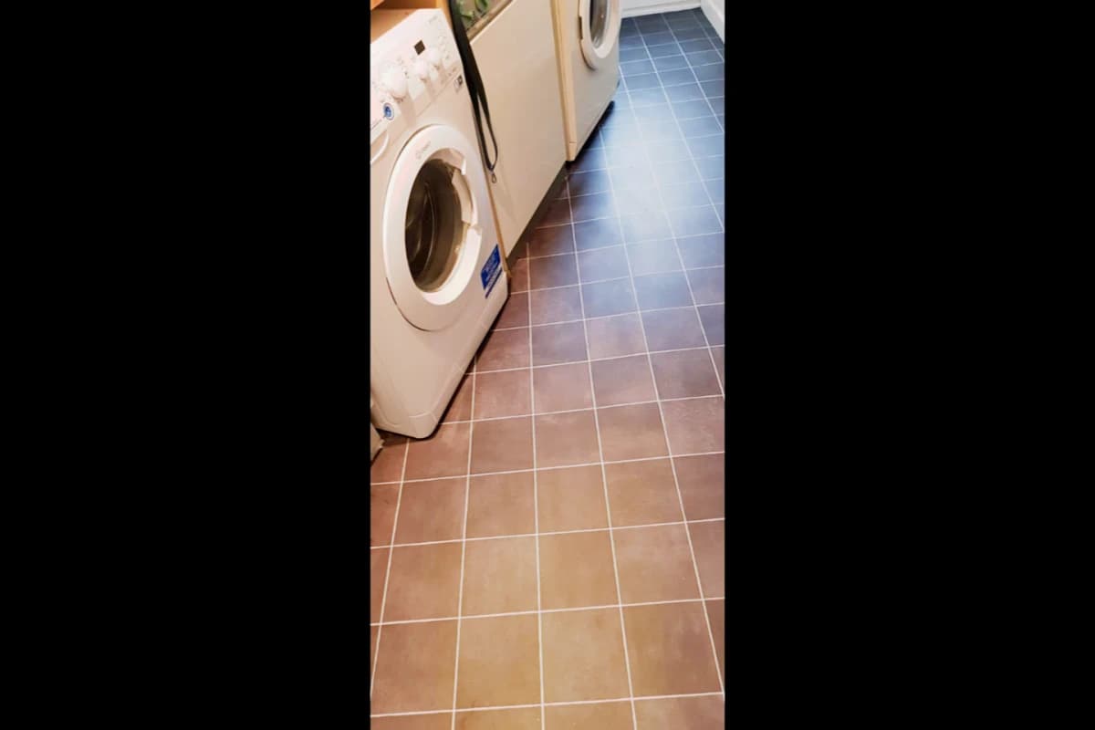 2 Bed, 1 Bath