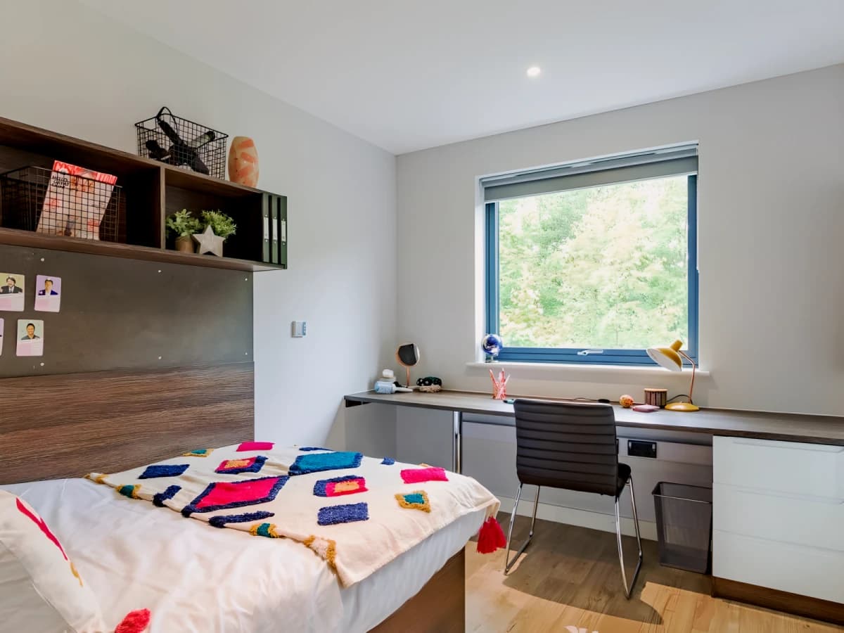 1 Bedroom, 1 Bathroom