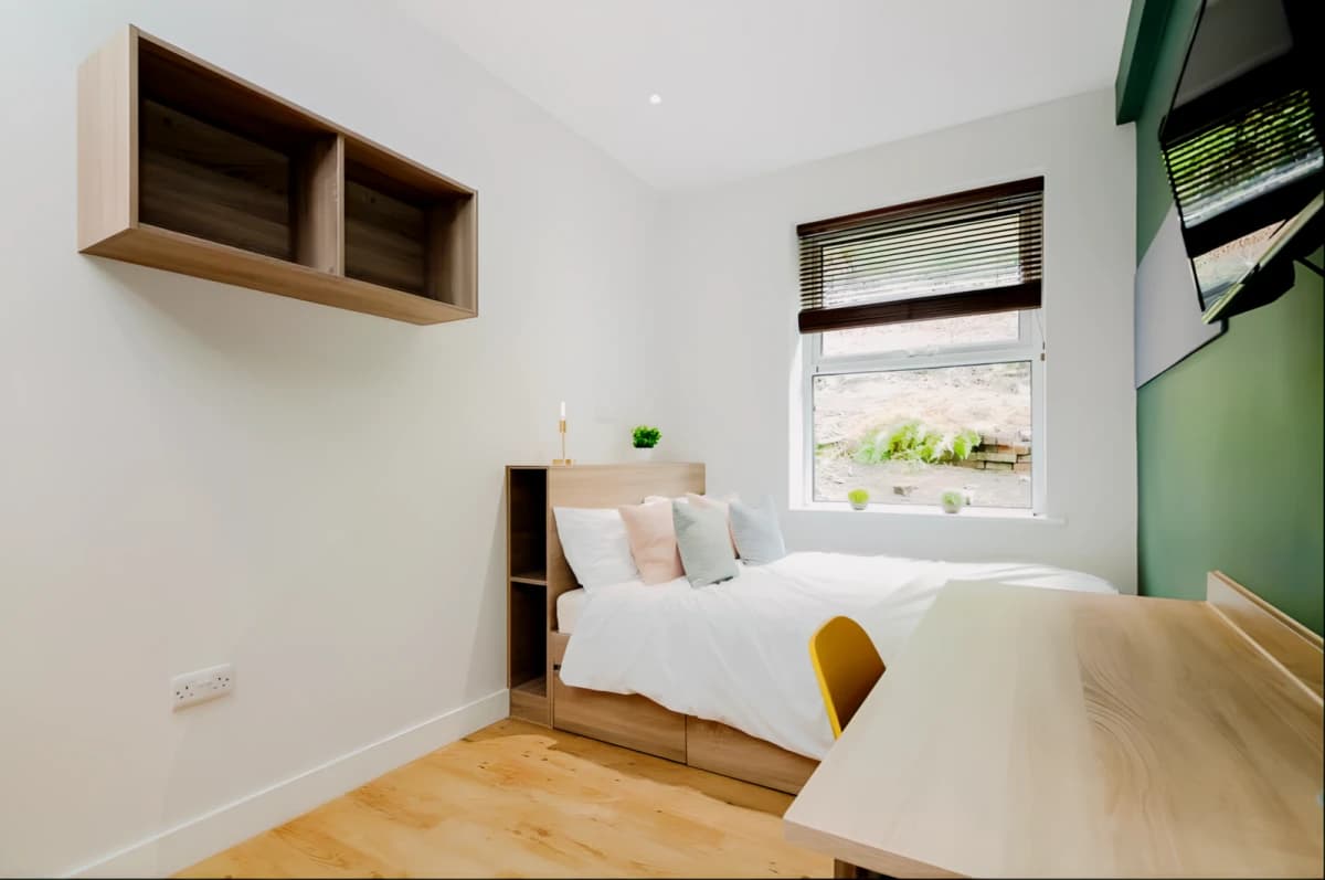 7 Beds 3 baths