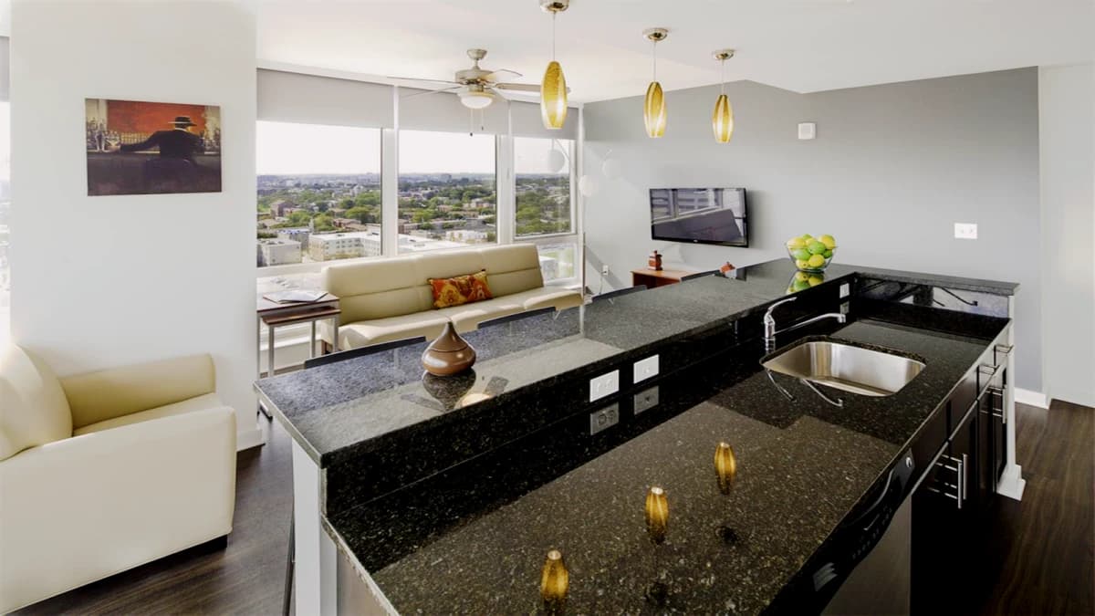 The Essential image