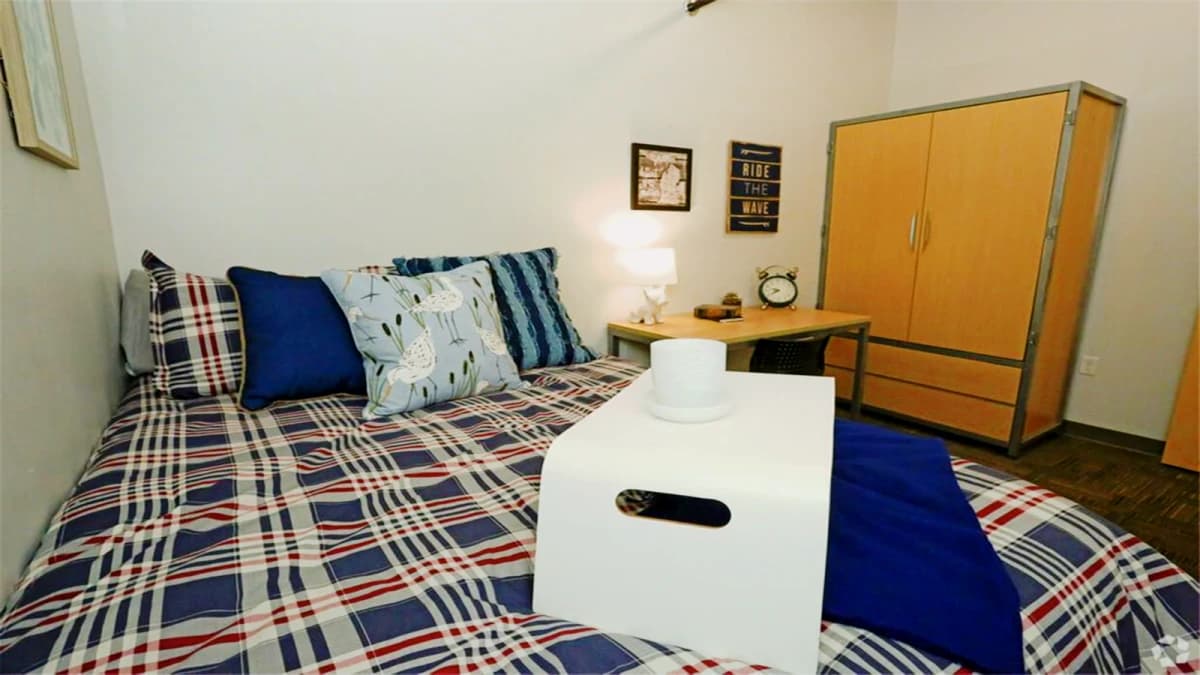 Saga Ann Arbor image