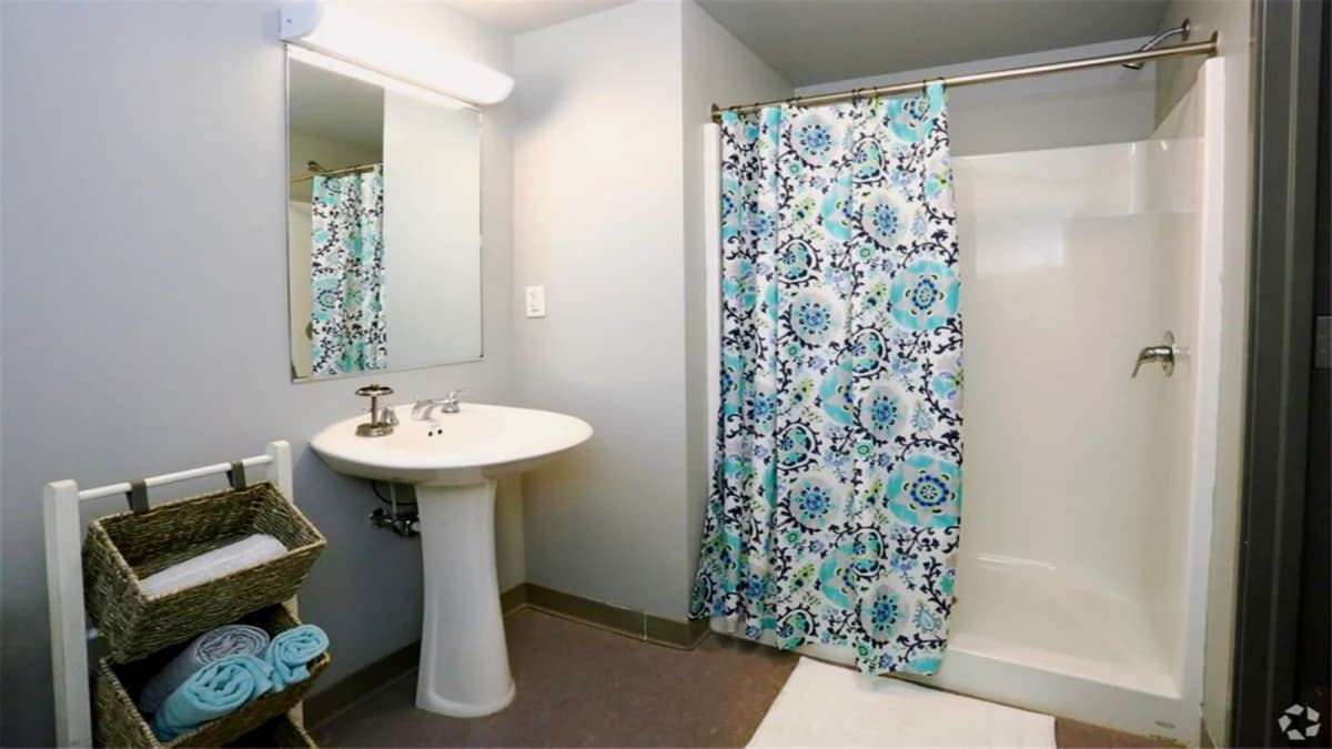 Saga Ann Arbor image