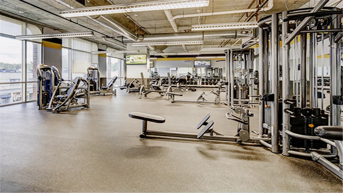Landmark Apartments image