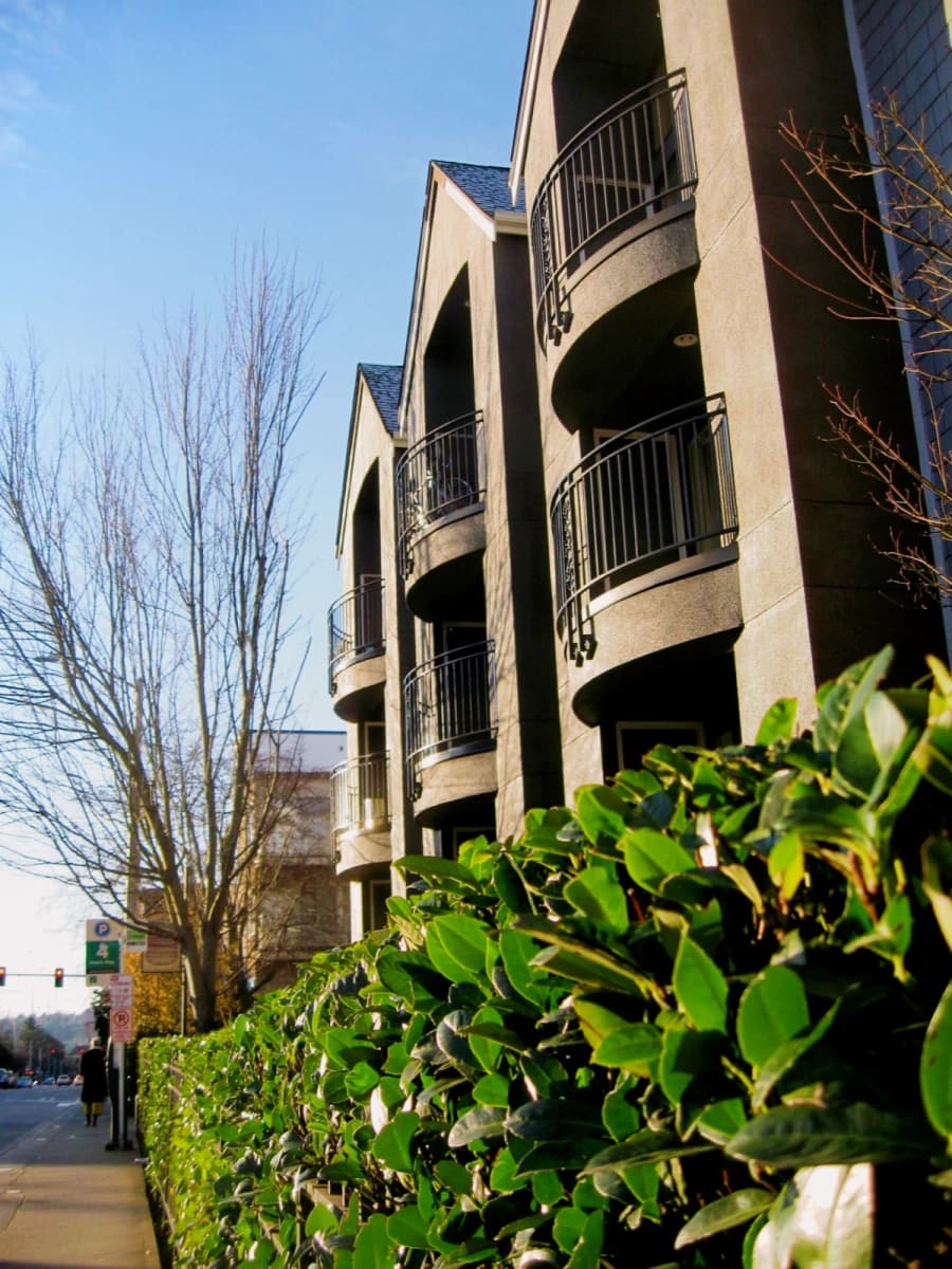 Yugo Seattle Rivendell image 2