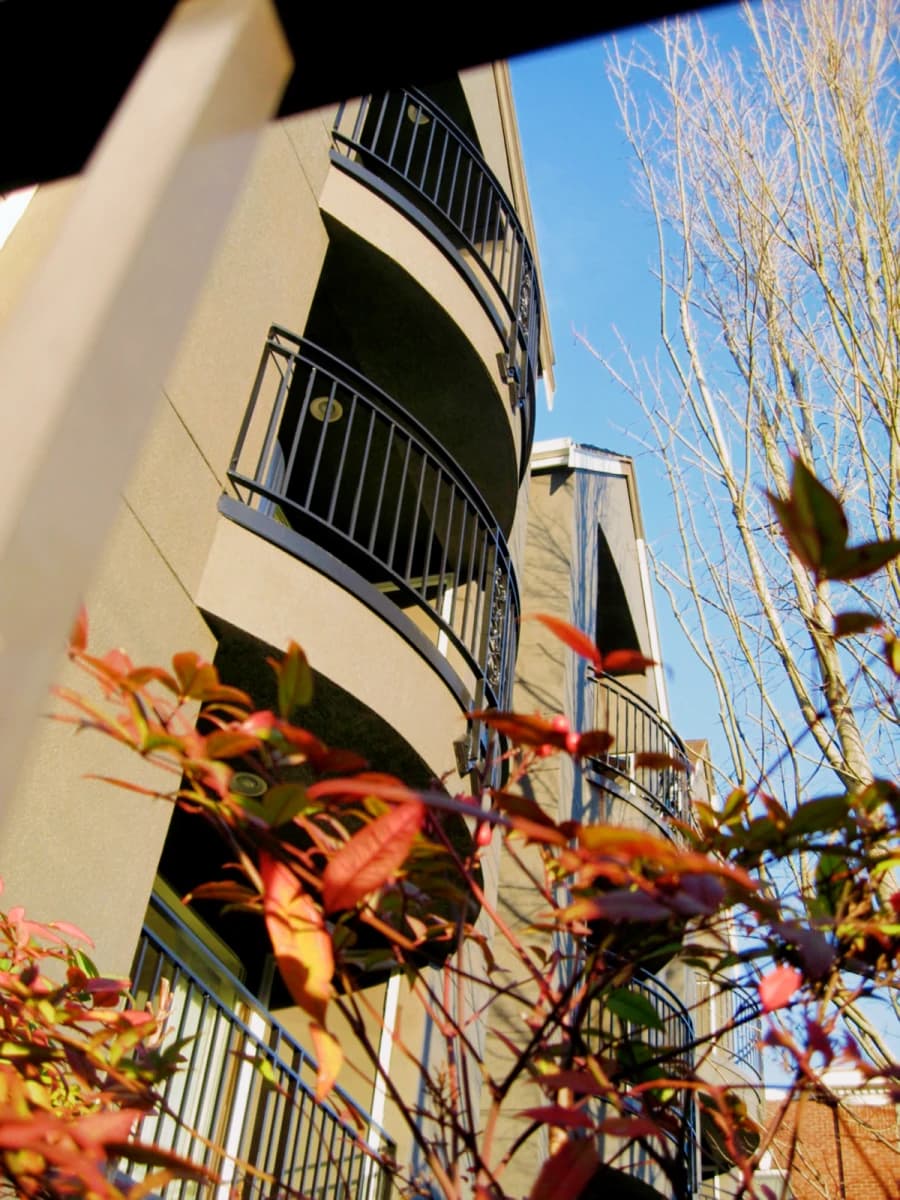 Yugo Seattle Rivendell image 4