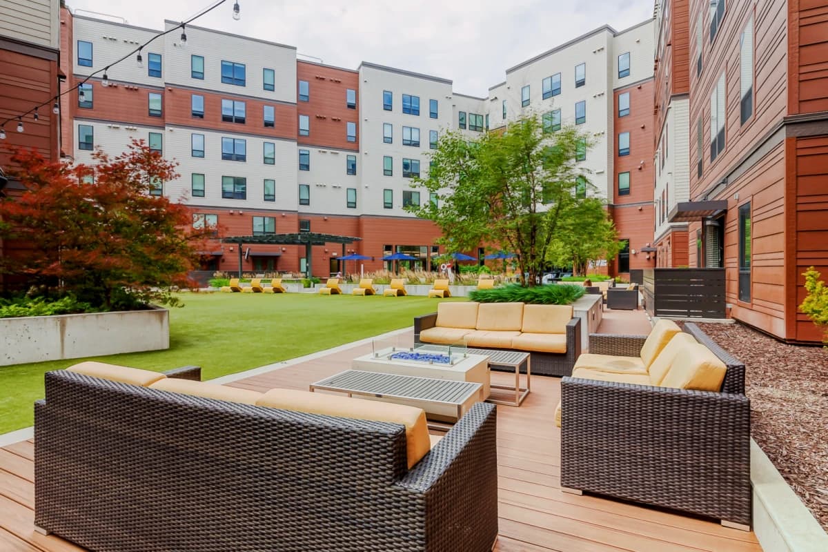 The Yard image
