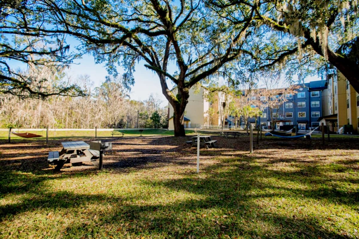 Outdoor Features