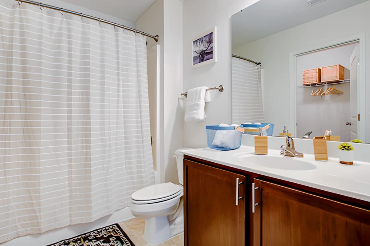 Camden Forest Apartments image