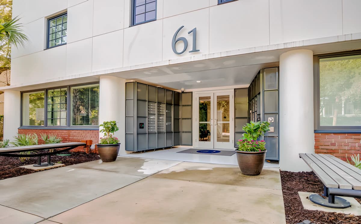 61 Vandy image 2