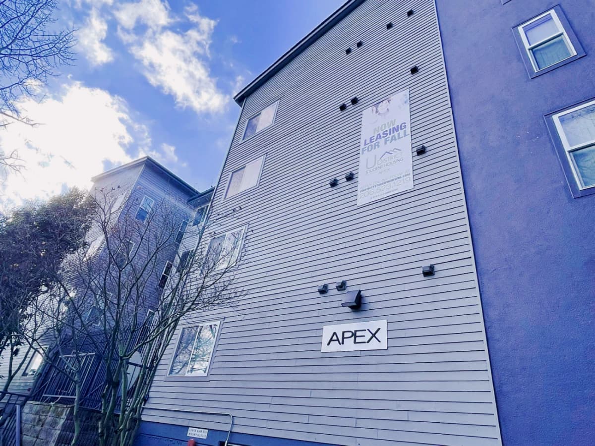 The Apex image 2