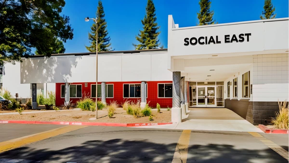 The Social Chico image 3
