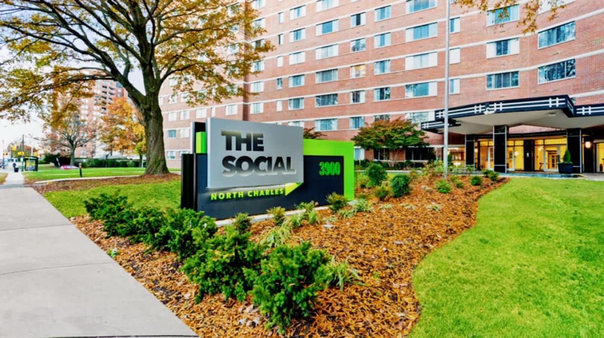 The Social North Charles image 2