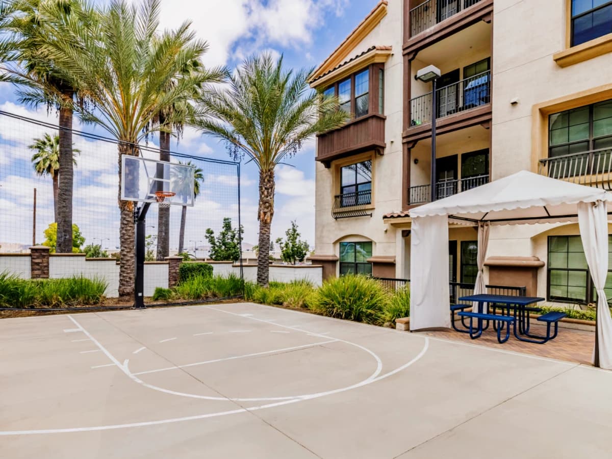 Highlander at North Campus Student Housing image