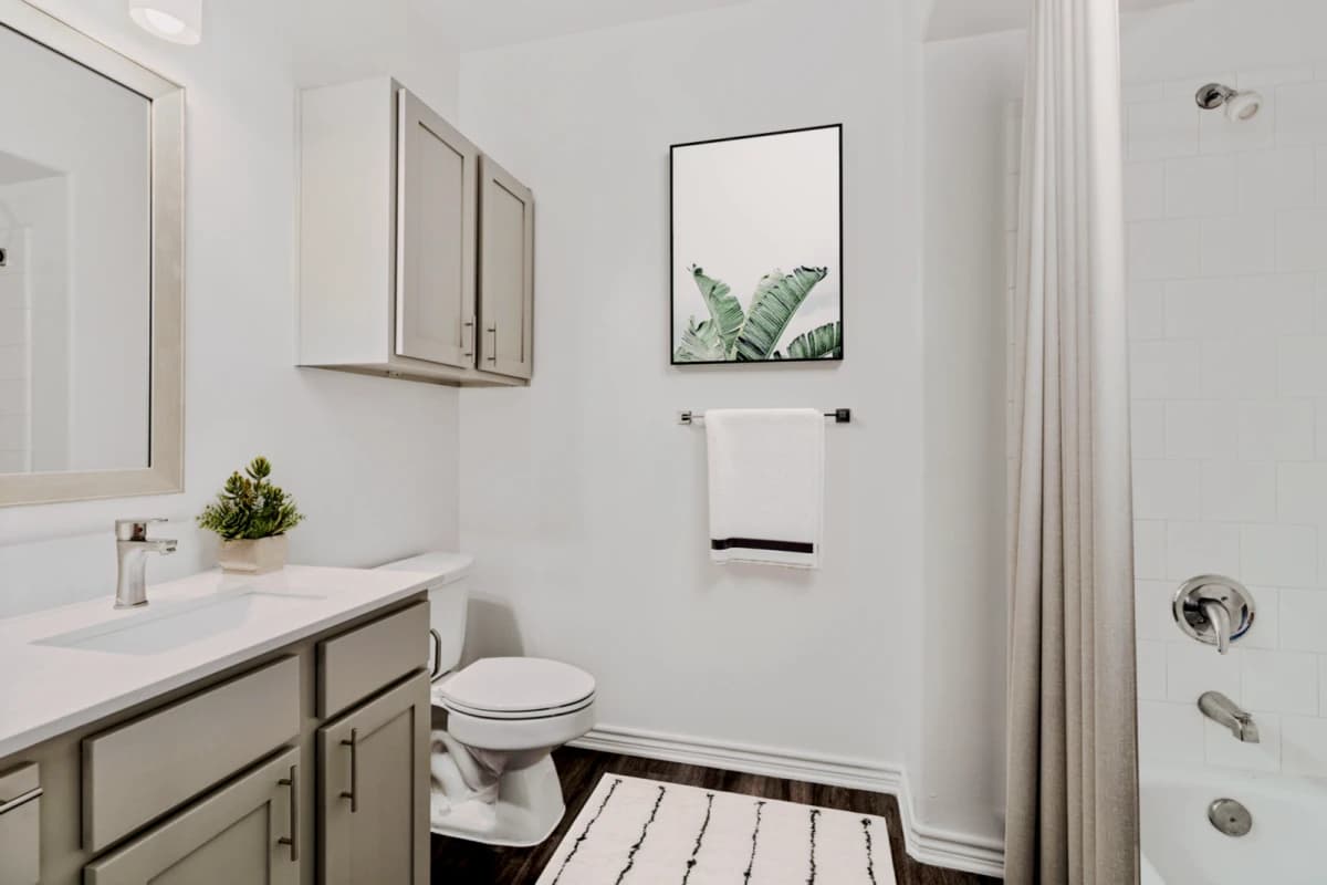 Midtown Urban Student Housing image