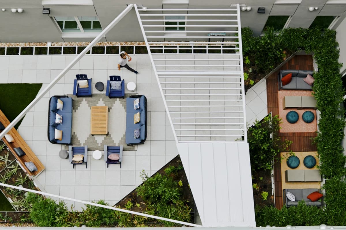 Legacy on Rio image
