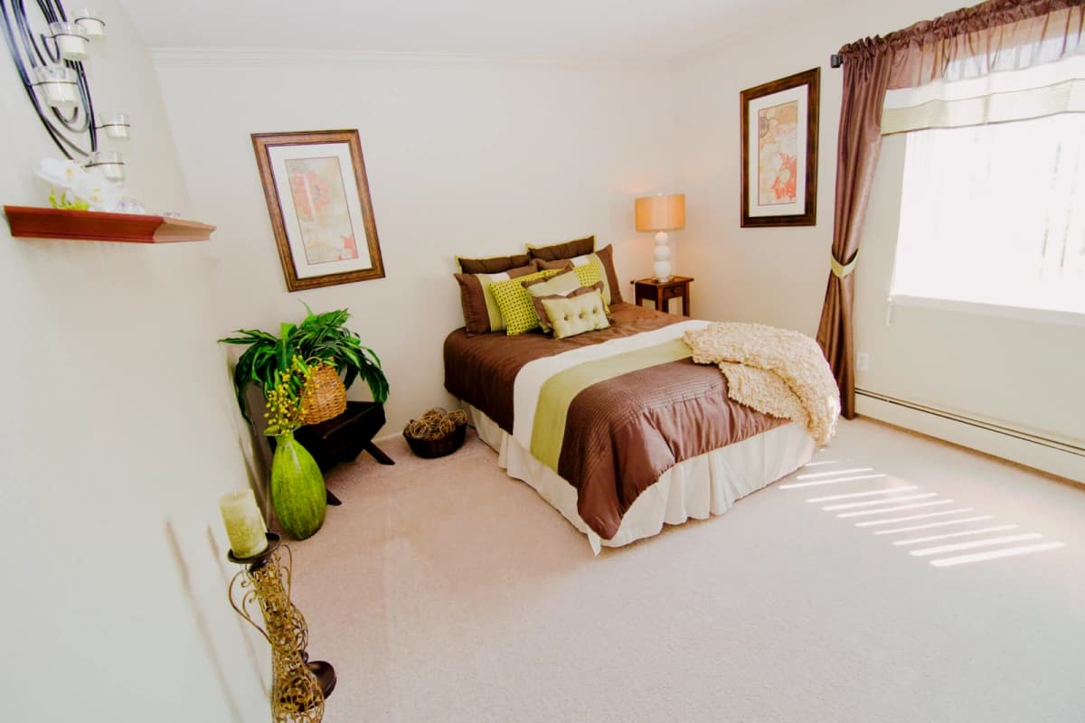 1 Bed 1 Bath