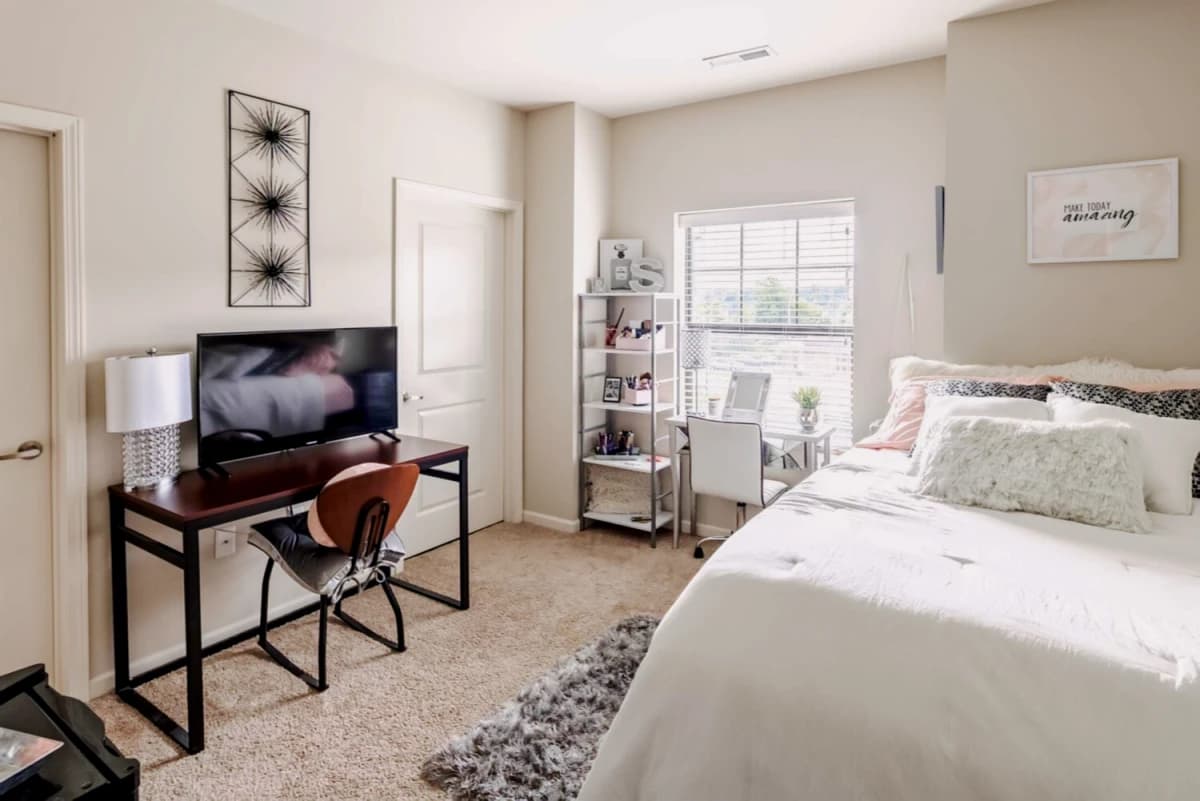 5 Bed 5 Bath