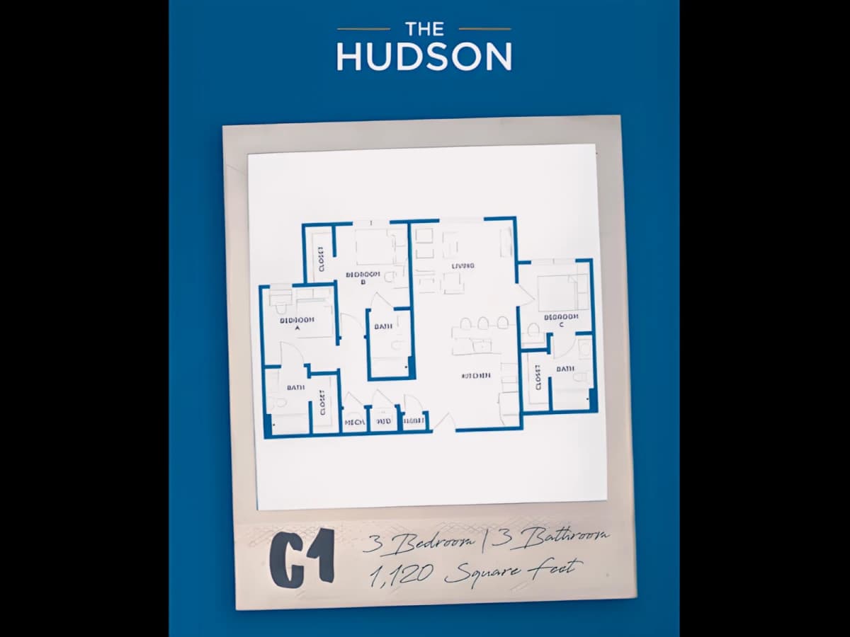 The Hudson image