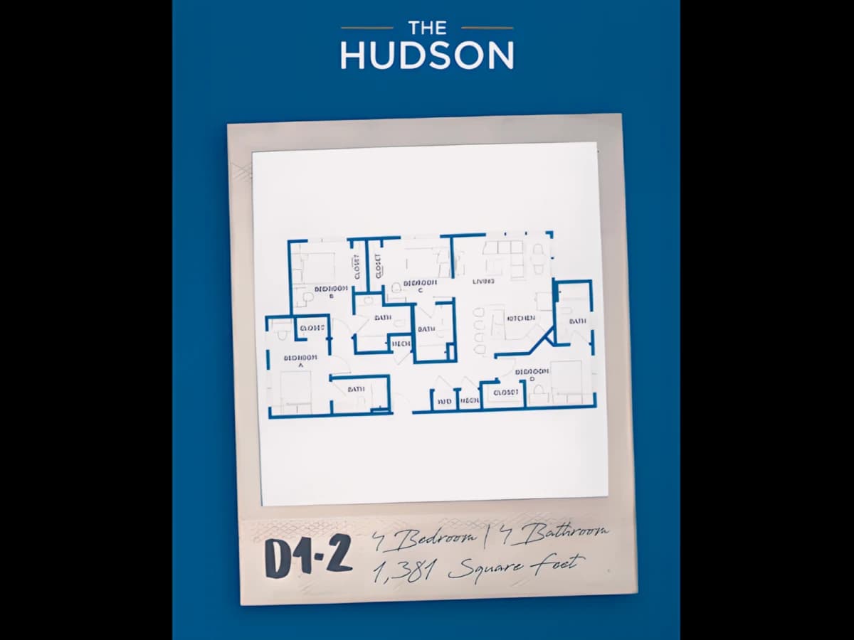 The Hudson image