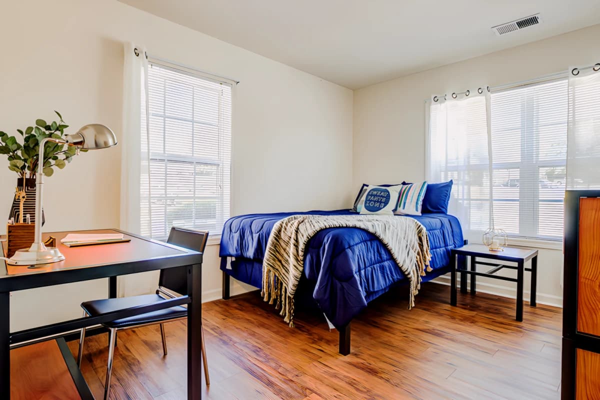 University Village at Clemson image