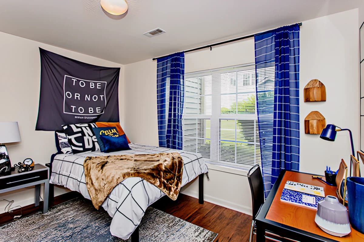 University Village at Clemson image