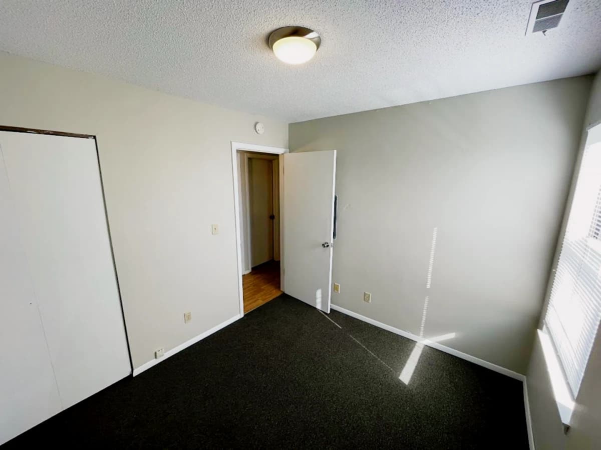 813 W Springfield, Urbana, IL 61801 image
