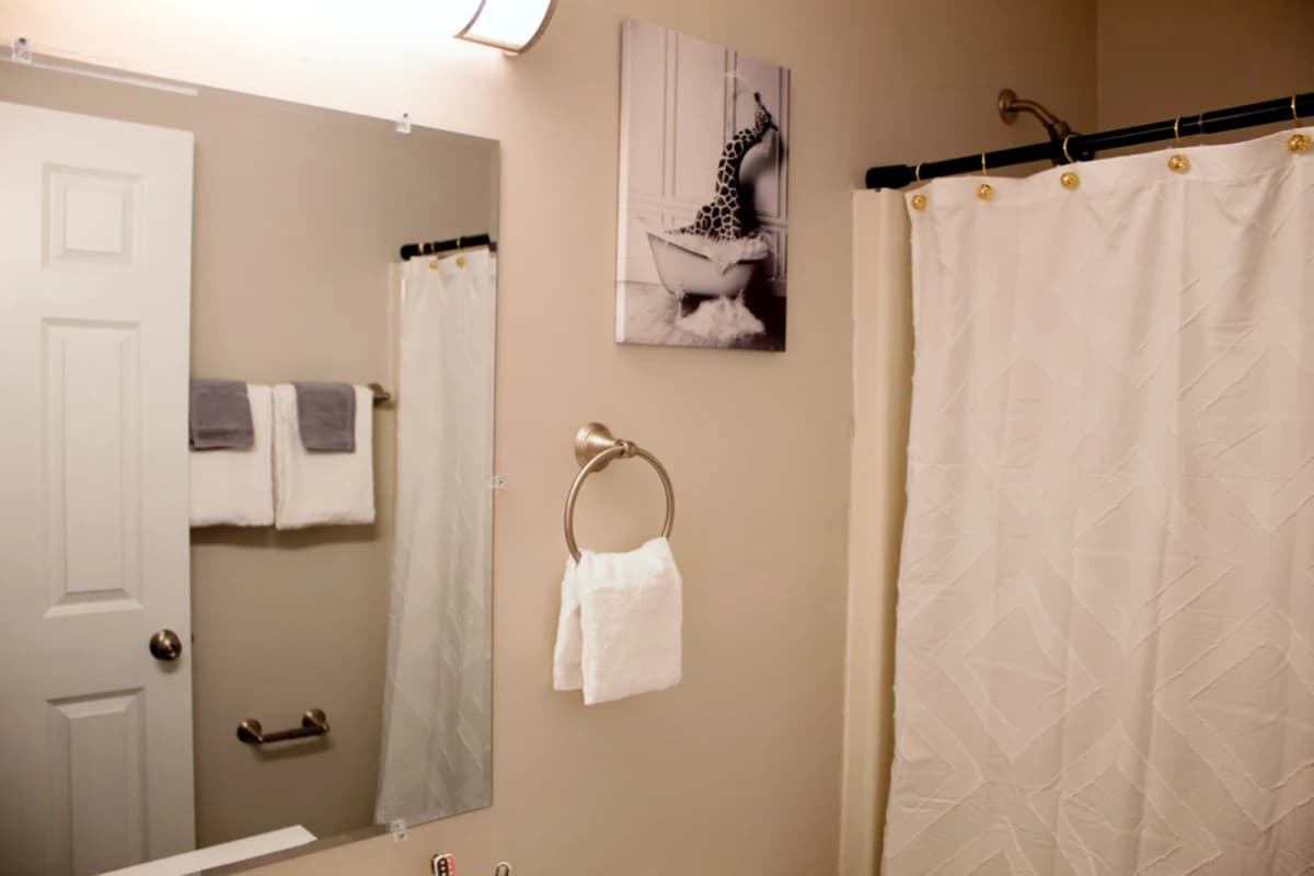903 S Locust Street, Champaign, IL 61820 image 4