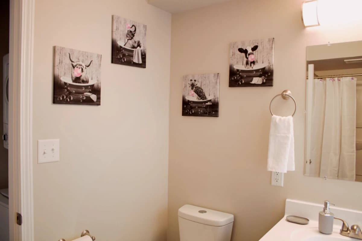 903 S Locust Street, Champaign, IL 61820 image