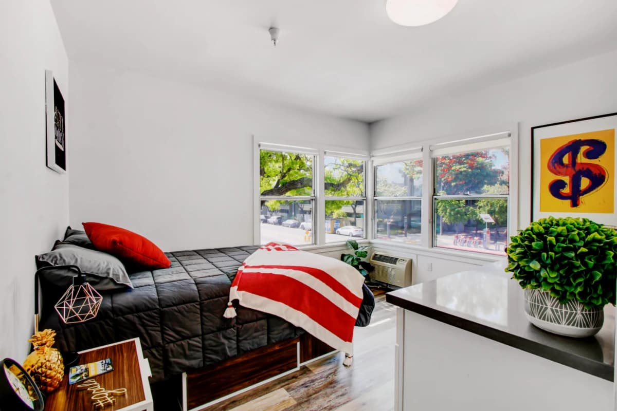 2831 UNIVERSITY image