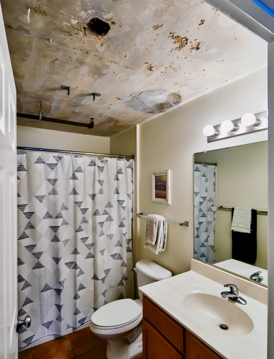 3 Bed 2 Bath 3b