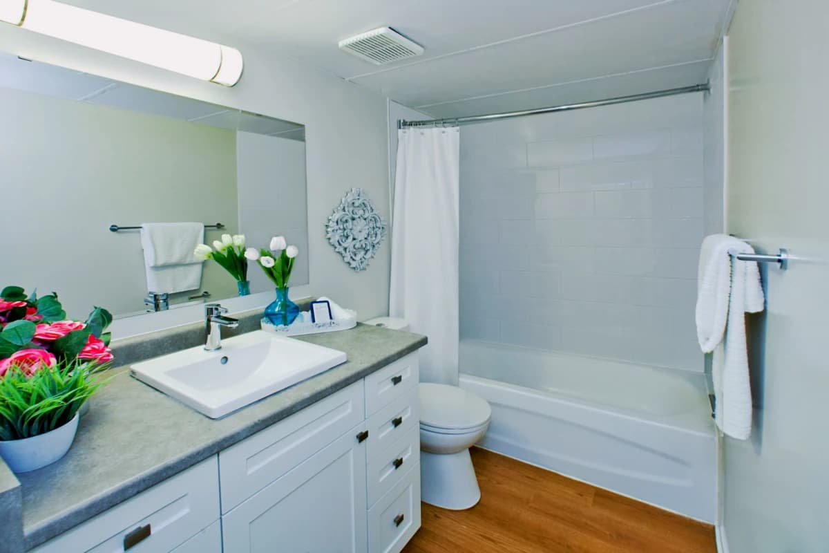 Springbank Apartment image 5