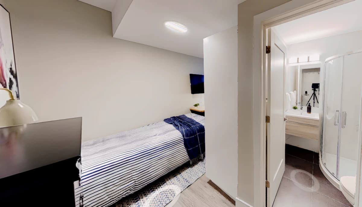 Suite 3