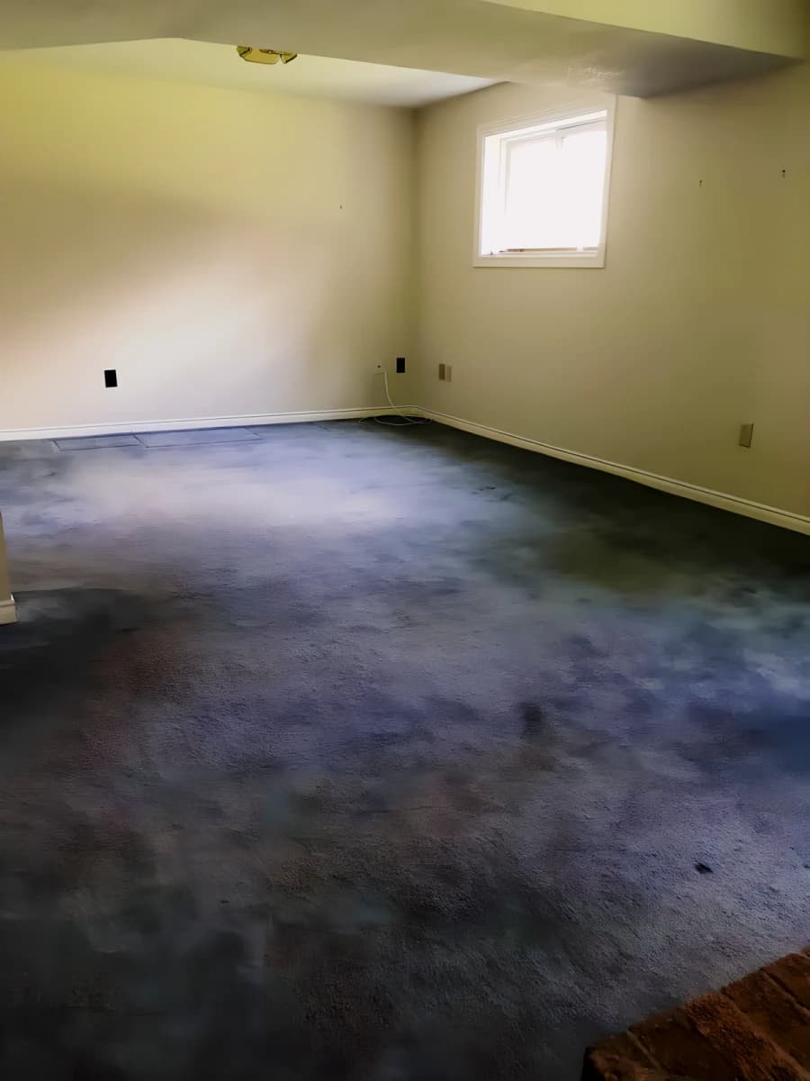 259 Camille Crescent image