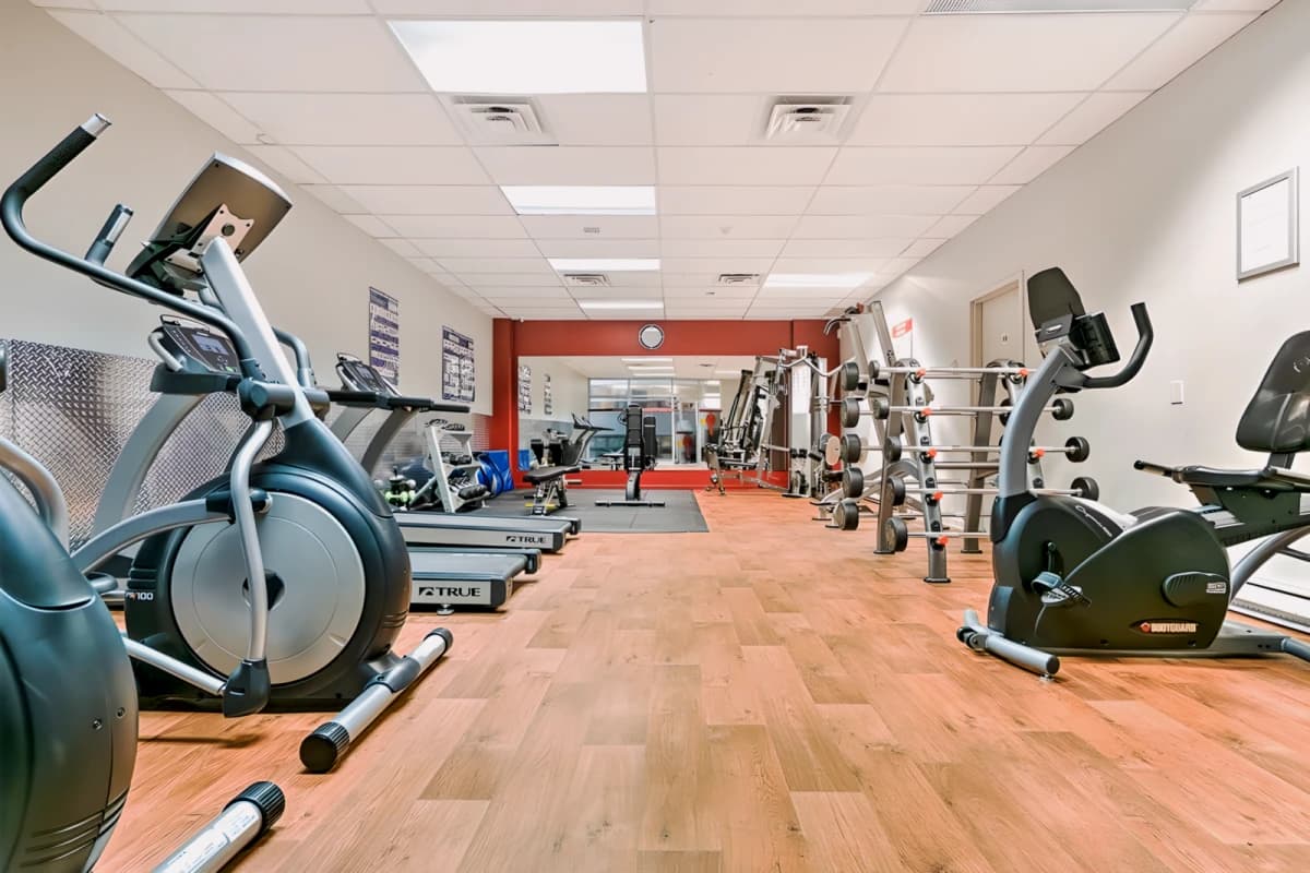 flex Plus - downtown montreal